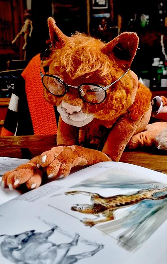 Matou – Die Katze, die kein Mensch sein will